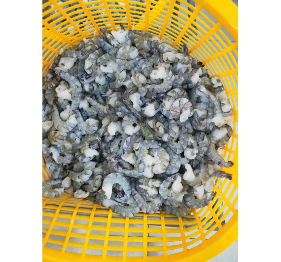 TÔM SÚ NGUYÊN CON ĐÔNG LẠNH